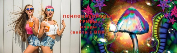 сатива Абдулино