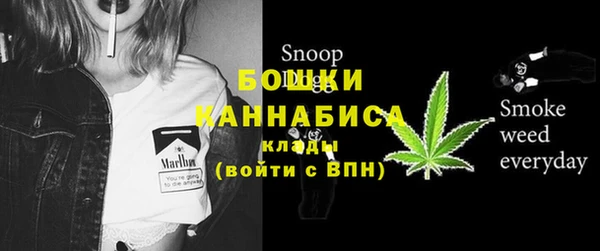 гидра Абаза
