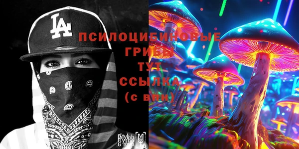 сатива Абдулино