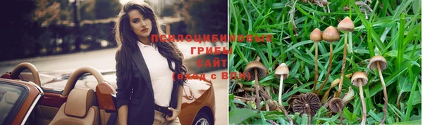 сатива Абдулино