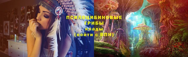 гидра Абаза