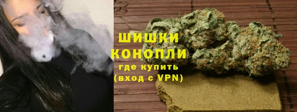 гидра Абаза