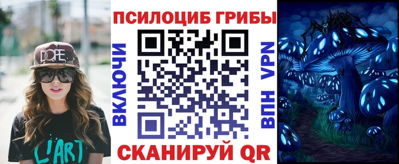 Галлюциногенные грибы Magic Shrooms Магадан