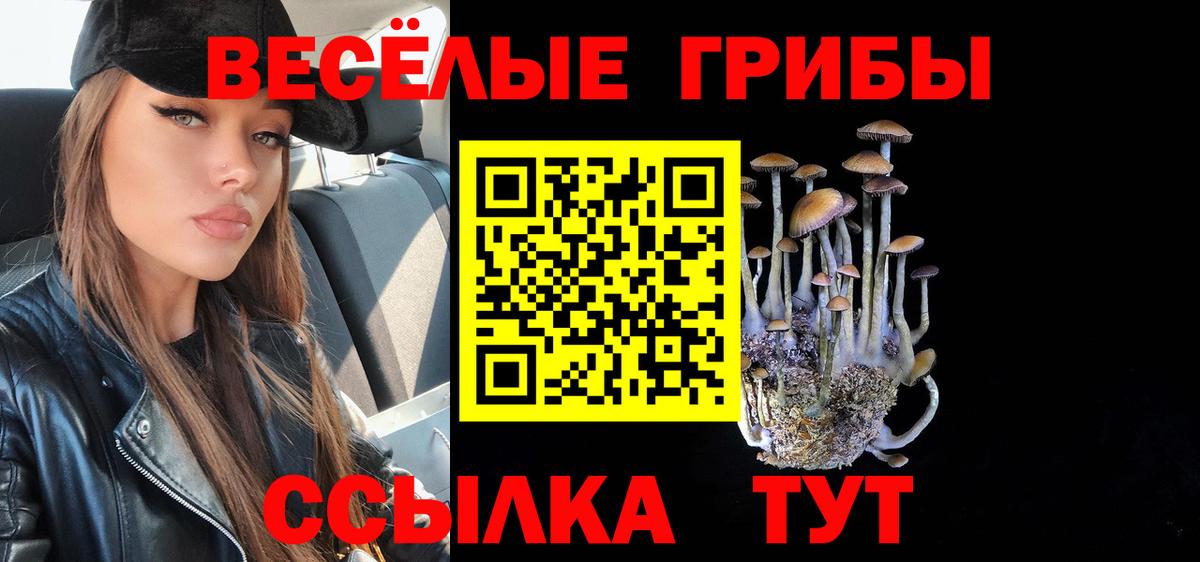 Магадан  Псилоцибиновые грибы MAGIC MUSHROOMS  где можно купить наркотик  Вход с VPN 