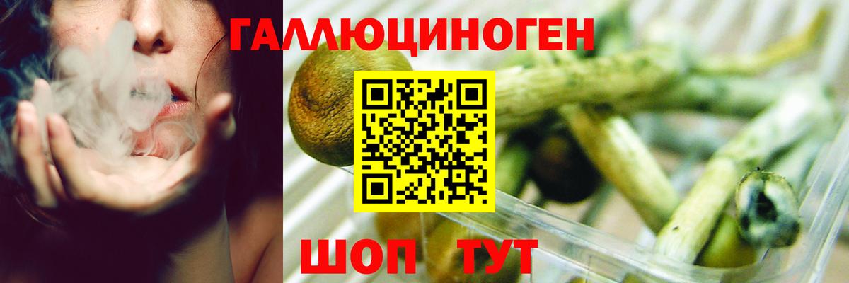 Галлюциногенные грибы ЛСД Магадан